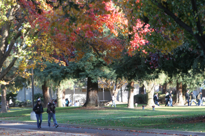 Campus scenery Campus scenery